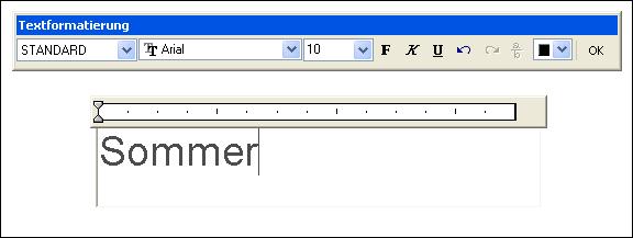 Erste Beschriftungen Jetzt kommt der Texteditor auf den Bildschirm (siehe Abbildung 3.16). Bevor Sie den Text eingeben, wählen Sie im Abrollmenü (zweites von links) die Schriftart, z.b. die Windows-Schriftart Arial.