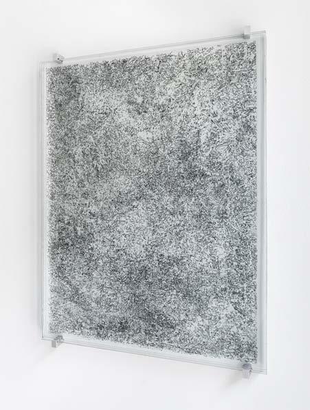 JUDITH RÖDER Thicket Drawing Engraved glass,