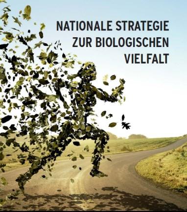 Naturschutzoffensive 2020 NBS