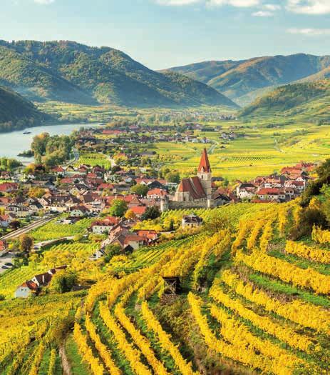 30 // SOMMER 2018 DAHEIM AN DER DONAU In Österreich gedeiht Riesling am besten in den Gebieten am Ufer oder in der Nähe der Donau. Die Wachau ist das wohl international renommierteste Gebiet.