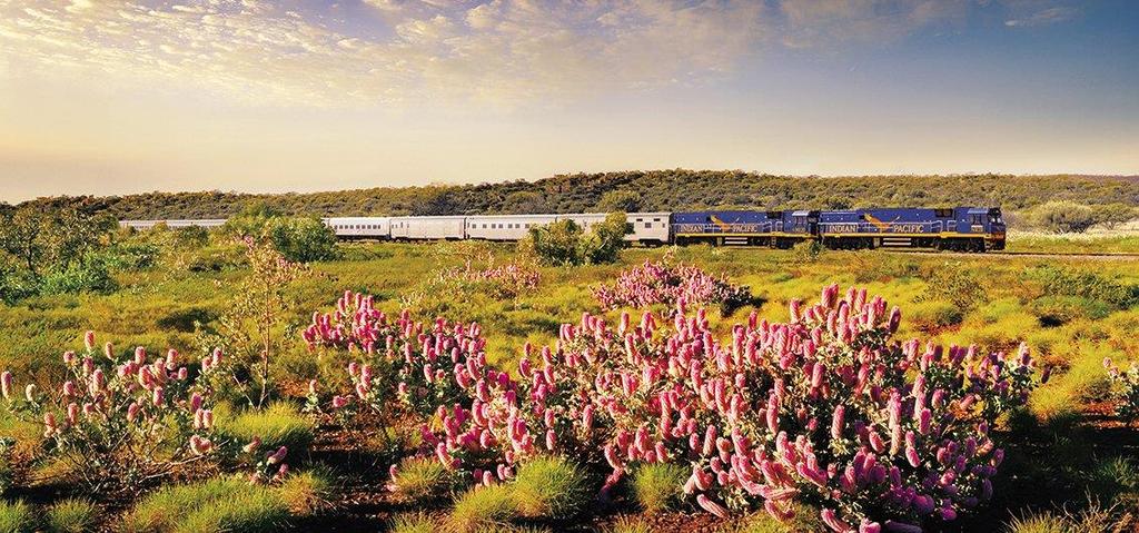 Auf Schienen durch die Weiten Australiens Australiens legendäre Züge 20-tägige Zug-Erlebnisreise quer durch Australien im Ghan und im Indian Pacific Entdecken Sie den jüngsten Kontinent auf