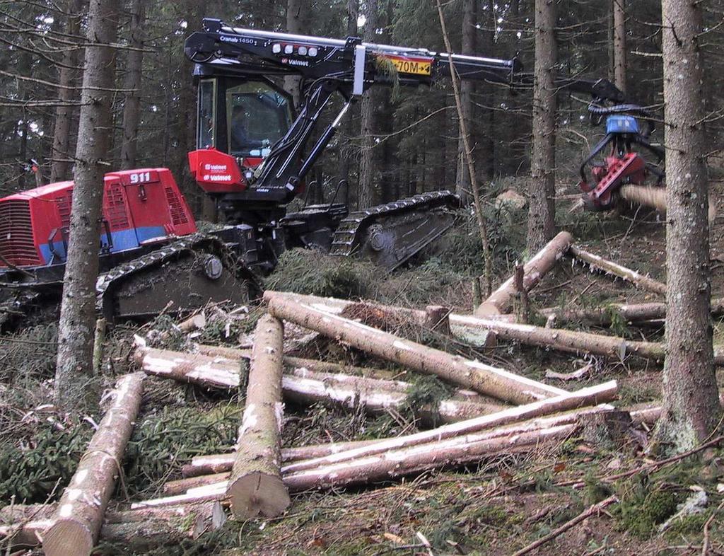 Moderne Holzernte ist naturverträglich und kostengünstig. Die Waldaufseher beraten die Waldbesitzer/innen bei der Auswahl des optimalen Verfahrens und unterstützen sie tatkräftig.
