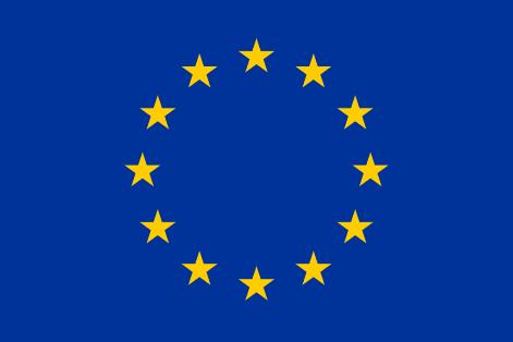 Die EU hat das GHS mit der CLP-Verordnung umgesetzt In der EU hat das GHS in der Verordnung (EG) Nr.