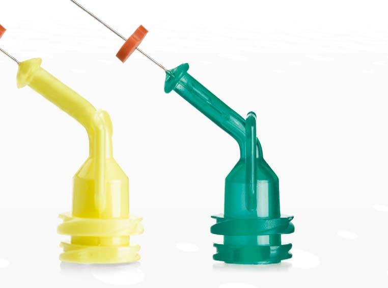 Einfache Lösungen für die Endodontie NaviTips Reinigen, Spülen und Applizieren -