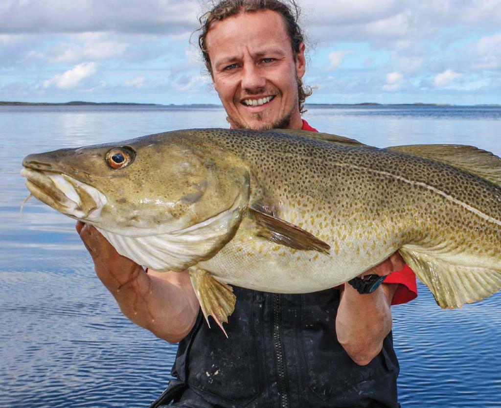 praxis Fangen mit Plan Fischart Hauptfanggebiet Beste Fangzeit Dorsch Süd- bis Nordnorwegen