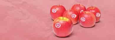 ENTDECKEN SIE DEN PINK-LADY-CLUB IHRE T REUE WIRD BELOHNT Sammeln Sie die pinken Punkte auf den Etiketten der Apfelschalen und erhalten Sie dafür tolle