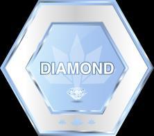 7. DIAMOND-POOL