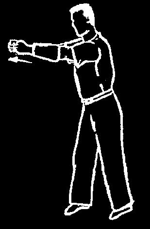 Pushing out Der Kampfrichter zeigt mit beiden Händen das Hinausdrücken/-schieben von der Kampffläche auf die