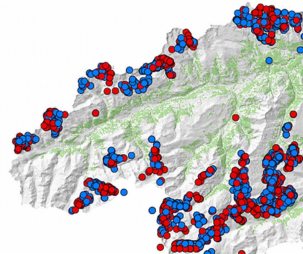 11.3 Abschusskarten Gämse und Alpensteinbock 2013 16 Nachfolgend sind die Abschusskarten der