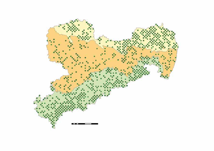 Bundeswaldinventur Dritte Bundeswaldinventur (BWI³) abgeschlossen Als erstes Bundesland hat Sachsen die Datenerhebungen zur dritten Bundeswaldinventur abgeschlossen und die Inventurdaten der