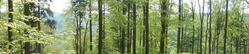 Für den Freistaat Sachsen waren bei der dritten Bundeswaldinventur zwei Inventur- und ein Kontrolltrupp für die Datenerfassungen in allen Waldflächen und Eigentumsarten unterwegs.