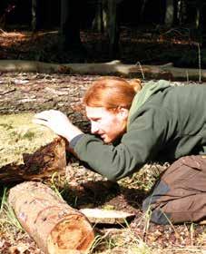 Laufbahnausbildung höherer Forstdienst Zu Beginn des Jahres 2012 absolvierten neun sächsische Forstreferendare ihre Reisezeit und konnten bei Forstverwaltungen, privaten Forstbetrieben oder anderen