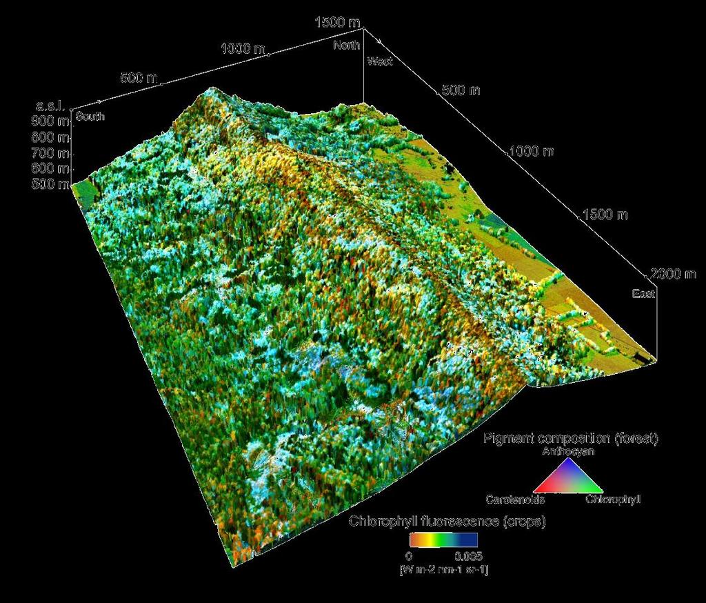 Ausblick Datenfusion: SAR Tomographie hyperspektrale Daten Integration in Ökosystemmodellierung (DGVM, forest gap