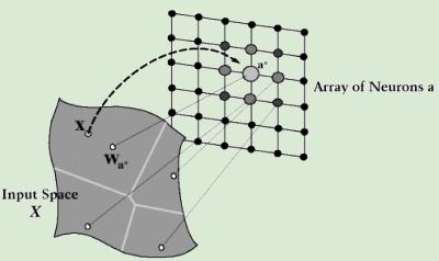 SOM-Algorithmus, Kohonen 1982 Input-Vektoren Neuronen, die durch ihren Gewichtsvektor deniert sind. Topologie: Neuronen sind in einem 2D-Array angeordnet.