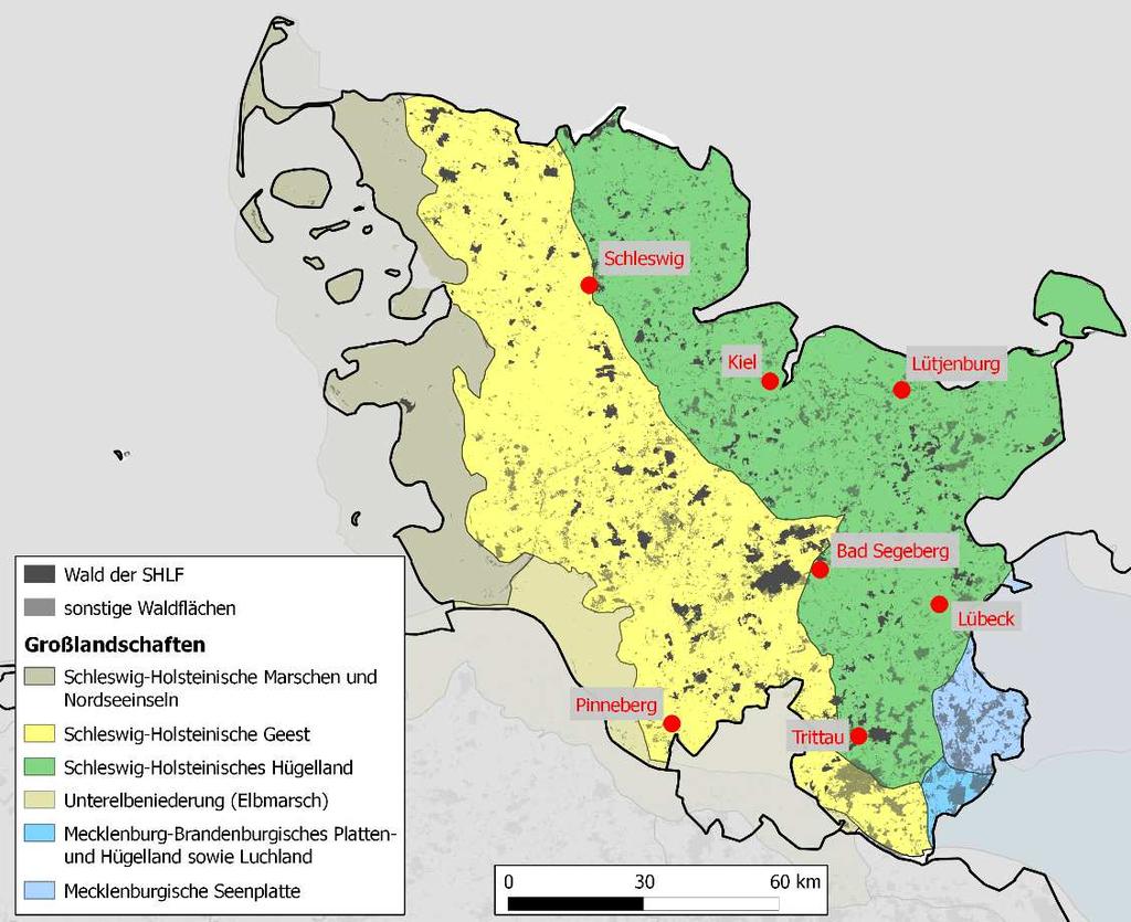 Projektgebiet: Schleswig-Holsteinische Landesforsten (SHLF) SHLF: 50,000 ha Waldfläche 51 % Laubwald