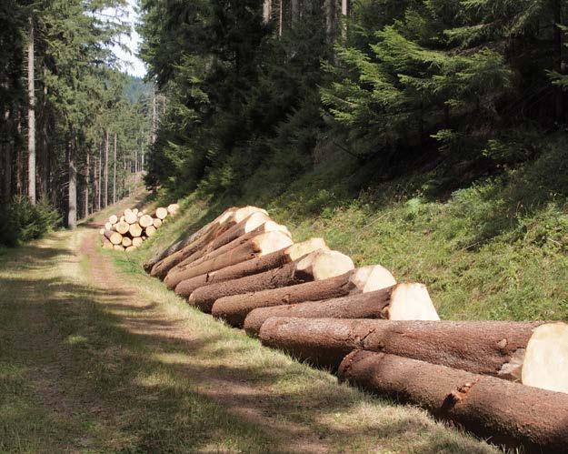 Geringere Mengen werden auch durch die Kommunen selbst vermarktet. Cluster Forst + Holz Forst- und Holzwirtschaft spielen für den Ländlichen Raum im Ortenaukreis eine wichtige Rolle.