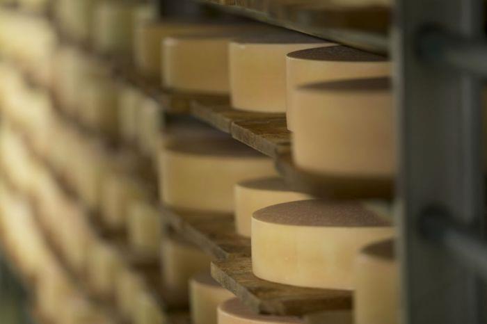5 Alp Chäserenholz Wie werden aus Alpenkräutermilch genussvolle Käse-Spezialitäten und -Köstlichkeiten?