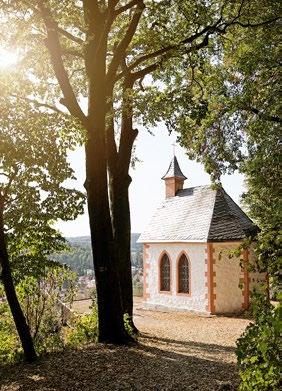 Tour 8 Wanderung zum Domberg Markt Mehlis Meeresaquarium (0,4 km) Schäferbaude