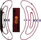 Da die Verschiebung der Ladungen einem Strom entspricht, muss auch ein Magnetfeld entstehen, welches kreisförmig um die Dipol-Achse liegt. In Abb. 6.
