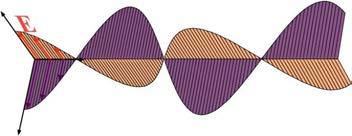 gnetische Abstoßung bestimmt. Abbildung 6.: Transversale Federwelle. Im Fall der Seilwelle oder der Federwelle in Abb. 6. findet die Auslenkung senkrecht zur Bewegungsrichtung statt.