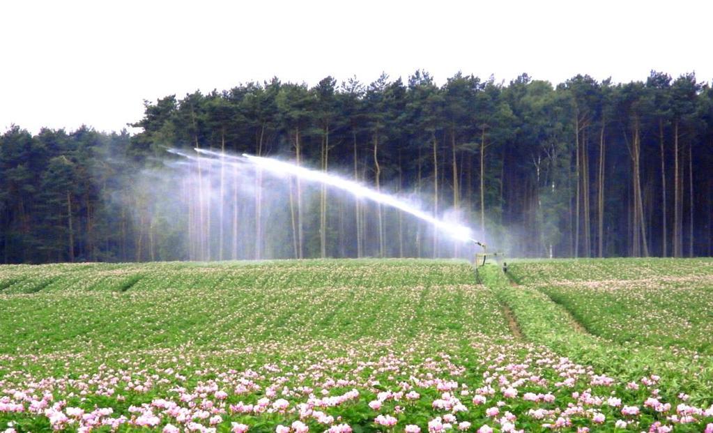 Bestimmungsgründe für die landwirtschaftliche Bewässerung und ihren Energiebedarf und Diskussion von Anpassungsmöglichkeiten