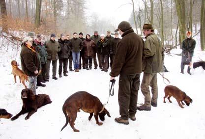 Die bekanntesten Vertreter sind unter anderem der Rauhhaarteckel, der Deutsche Jagdterrier und der Parson Jack Russel Terrier.