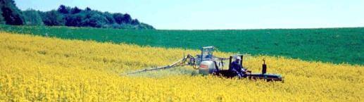 Die Bedrohungen Landwirtschaft:Pestizide Probleme wegen: Unsachgemässer Anwendung von Pflanzenschutzmitteln