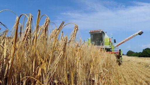 Biomasse landwirtschaftliche Potenziale Nahrungsmittelsicherheit: 0,18