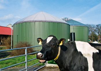 Biomasse landwirtschaftliche Potenziale inkl. Reststoffe Rinder- / Schweinegülle und Energiepflanzen - Biogas: ca.