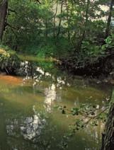 Neuerscheinung Die Hahle ein Fluss im Eichsfeld Von den Quellen bis zur Einmündung in die Rhume Von Robert Wand, herausgegeben vo