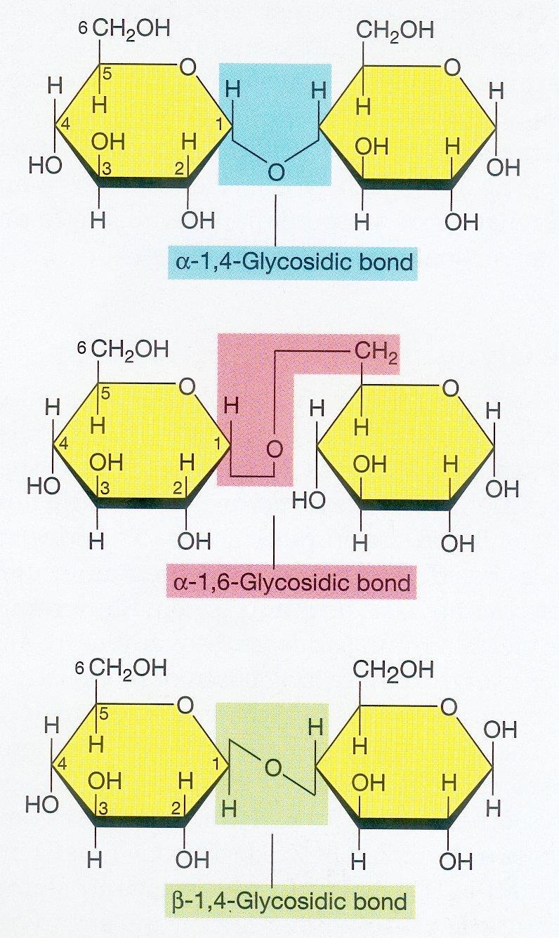 Polysaccharide