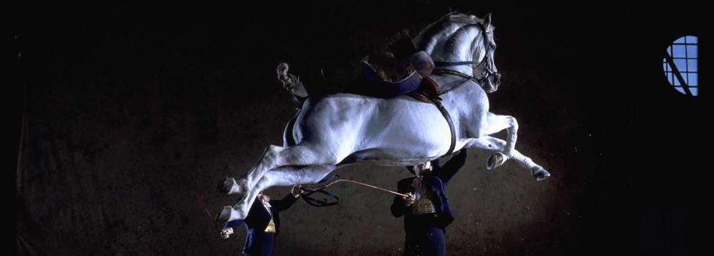 Royal Andalusian School of Equestrian Art Der Palast aus dem 19.