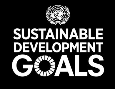 Development Goals Flexibel für
