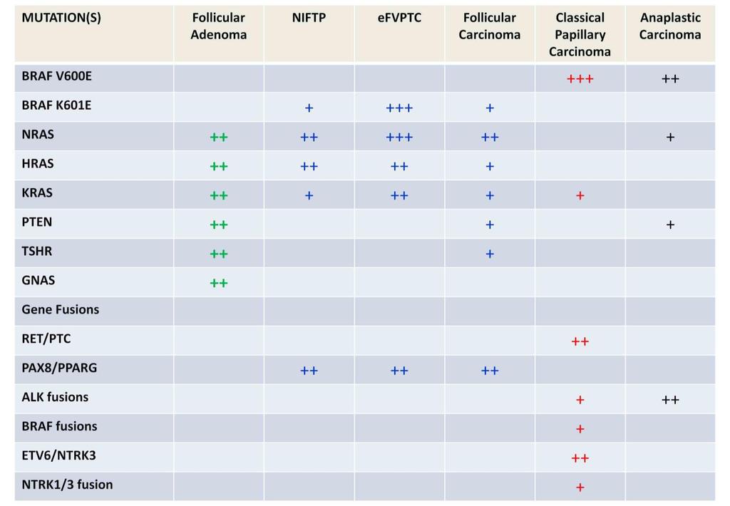 Mutations in Various Types of Thyroid Tumors NIFTP = Non-invasive follicular thyroid neoplasm with