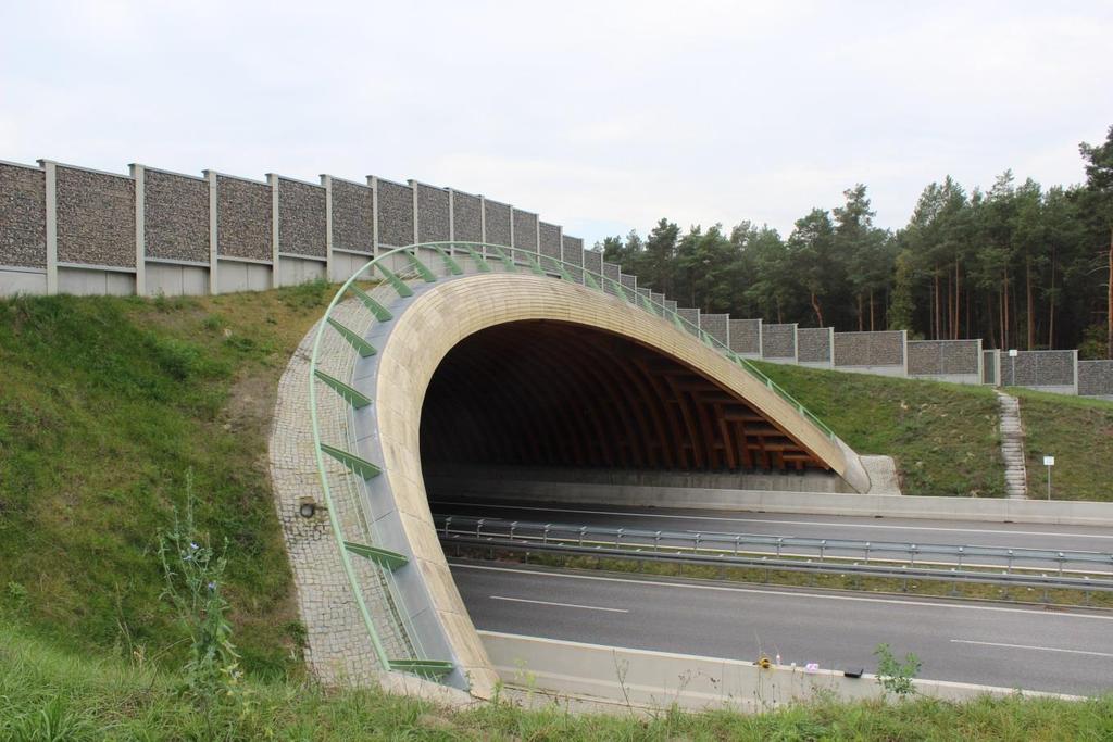 Überführungsbauwerkes aufgestellt. Abbildung 12: Eingewachsene Wildbrücke zwei Jahre nach der Eröffnung (2014) 4.