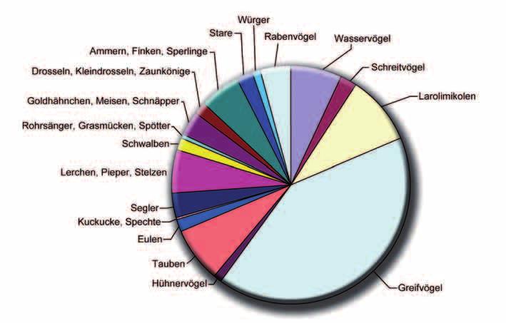 Abb. 4: Anteil der an WEA verunglückten Greifvögel (n = 387) an den in Deutschland registrierten Kollisionsopfern aller Familien 1989-2009 (n = 936).