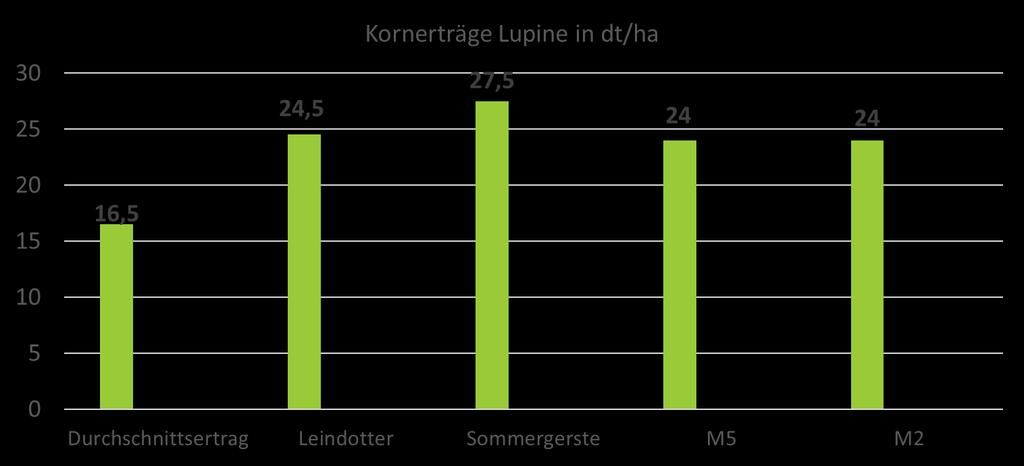 Lupinenversuch 2017 LENA ROSE, 16.