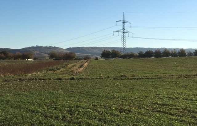 Landschaftskulisse östlich von Frauenzimmern mit Blick zum Michaelsberg