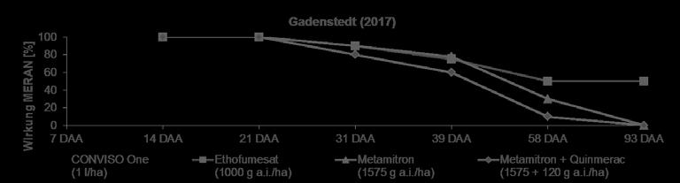 Abb. 5 Dauerwirkung von CONVISO One gegenüber Bingelkraut (MERAN) am Standort Gadenstedt (2017). Fig.