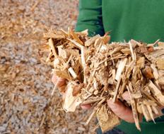 Biomasse ist die einzige erneuerbare, kohlenstoffhaltige Rohstoffquelle und bietet zahlreiche Möglichkeiten für die Herstellung von Lebensmitteln, Futter- und Düngemitteln, einer Vielzahl von