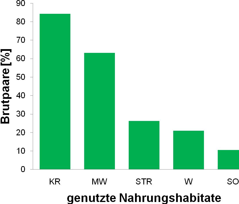 Die meisten Brutpaare nutzten zur Nahrungssuche Kurzrasen im Siedlungsbereich (84,2% aller BP) und Mähwiesen (63,2%).