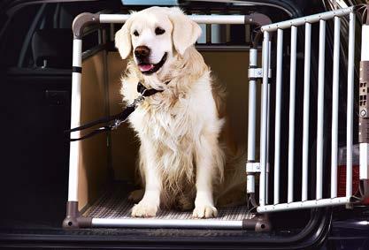 Zugfahrt mit Hund Bei kürzeren Distanzen bietet sich neben dem Auto auch der Zug als komfortables Transportmittel an. Doch auch hier muss die stressfreie Fahrt gut vorbereitet werden.