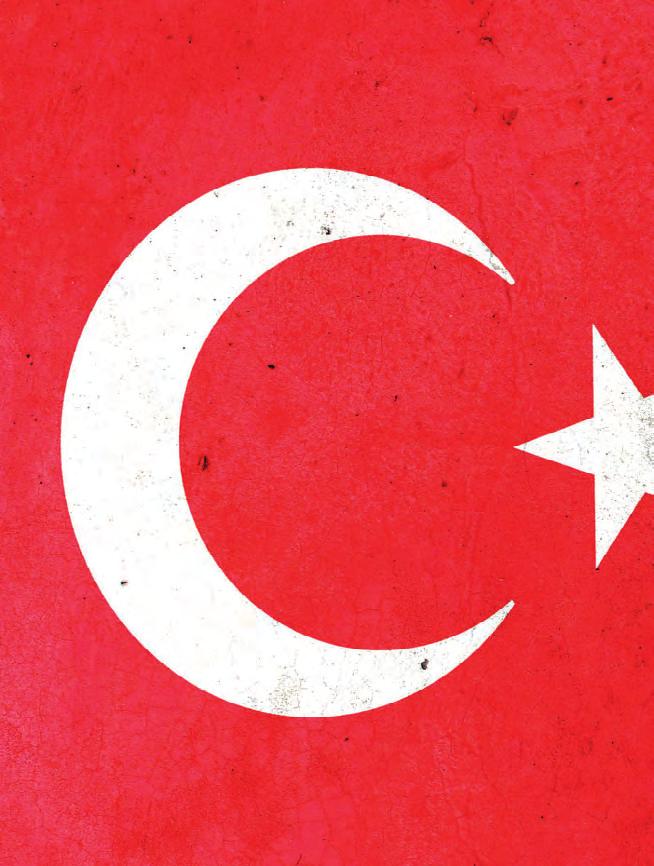 Einblicke Partnerschaften mit der Türkei - Wie sollen sich Städte verhalten? Erdogans brachiale Umgestaltung des Landes wird nicht nur kritisiert, sondern auch bewundert.