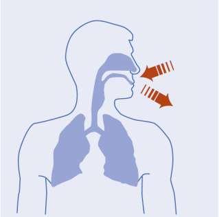 Auswirkung von Radon? 10% der Lungenkrebsfälle werden durch Radon verursacht Nach dem Rauchen (ca. 85 %) sind Radon und seine Zerfallsprodukte die zweithäufigste Ursache (ca. 10 %) für Lungenkrebs.