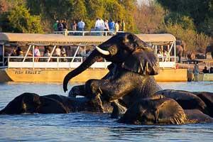 Botswana Reise für Selbstfahrer: Von den Victoriafällen zum Okavango Delta Preis p. P. ab: 2.