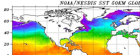 Oberflächentemperatur NOAA NESDIS, 2010: