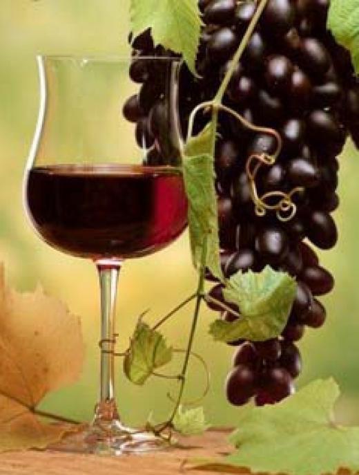 Die Reben auf den sonnigen Hängen des Troodos-Gebirges bringen körperreiche Rotweine, elegante Weißweine und den berühmten Süßwein "Commandria" hervor.