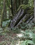 Poramawege über Wiesen und Felder bieten weite Aussichten, schattige Mischwälder sorgen für Abwechslung. Kleine Teiche, urige Baumsolitäre oder romtische Waldrdeckchen verführen zur Rast.