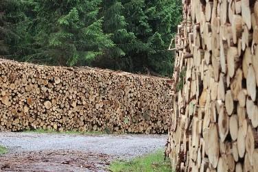 50 m SPEICHER Heizwert Holz Jahreszuwachs Deutschland Holzmenge für 10 TWh (ŋ=40%) 4,3 MWh/t ca. 70.000.000 t 5.800.
