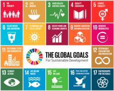 1. Strategieentwicklung: Internationaler Rahmen Agenda